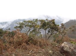 Sepultura de la edad del hierro - Cromlech/Navarra Sepultura de la edad del hierro - Cromlech/Navarra