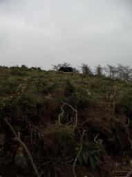 Sepultura de la edad del hierro - Cromlech/Navarra Sepultura de la edad del hierro - Cromlech/Navarra