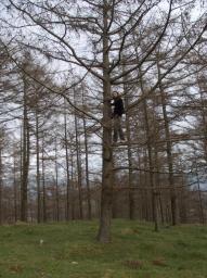 Sepultura de la edad del hierro - Cromlech/Navarra/Alexander (aoe)/von unten Sepultura de la edad del hierro - Cromlech/Navarra/Alexander (aoe)/von unten