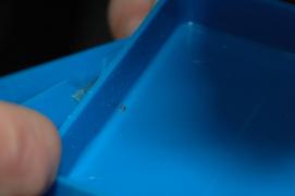 Franz' 1 mm Omega Seamaster pinion (Ritzel)/from kk.sen's watch Franz' 1 mm Omega Seamaster pinion (Ritzel)/from kk.sen's watch