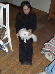 Alexander/Cecilia (Katze) Alexander/Cecilia (Katze)