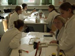 lab (Schulversuchspraktikum) lab (Schulversuchspraktikum)