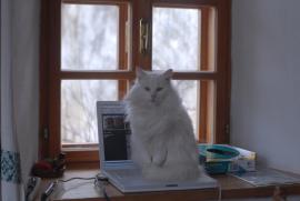 Sybille am iBook Sybille am iBook