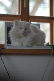 Sybille am iBook 3 Sybille am iBook 3