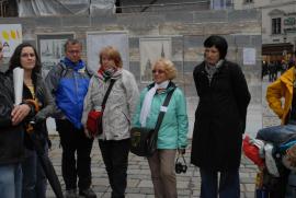 verenka, cortegiano, Jettchen, Eiramesor, calendulaa verenka, cortegiano, Jettchen, Eiramesor, calendulaa