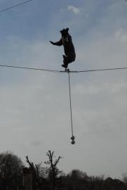 Cycling bear sculpture in front of the bear park/Bern/Berne Schweiz/Switzerland) Cycling bear sculpture in front of the bear park/Bern/Berne Schweiz/Switzerland)