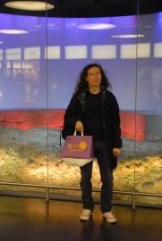 Bahnhof, Reste der Stadtmauer/Alexander/Bern/Berne Schweiz/Switzerland Bahnhof, Reste der Stadtmauer/Alexander/Bern/Berne Schweiz/Switzerland