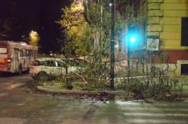 Rome after the thunderstorms of 2018. We just about managed to evade the pinecones and flying trees. Rome after the thunderstorms of 2018. We just about managed to evade the pinecones and flying trees.