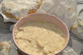 Fermentiertes Okara/fermented okara Fermentiertes Okara/fermented okara