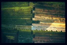 Oesterreich-Reise Juli 1991/Freilichtmuseum oesterreichischer Hoefe Stuebing/Open Air Museum of Austrian Farmyards/Granges/detail: dovetail at corner of block house/Detail: Schwalbenschwanzverbindungen an Blockhausecke Oesterreich-Reise Juli 1991/Freilichtmuseum oesterreichischer Hoefe Stuebing/Open Air Museum of Austrian Farmyards/Granges/detail: dovetail at corner of block house/Detail: Schwalbenschwanzverbindungen an Blockhausecke