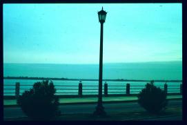 USA Weihnachten 1993/1994/Charleston, SC/Waterfront Park/seagulls at the seaside USA Weihnachten 1993/1994/Charleston, SC/Waterfront Park/seagulls at the seaside