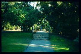USA Weihnachten 1993/1994/Charleston, SC/plantation park USA Weihnachten 1993/1994/Charleston, SC/plantation park