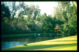 USA Weihnachten 1993/1994/Charleston, SC/plantation park USA Weihnachten 1993/1994/Charleston, SC/plantation park