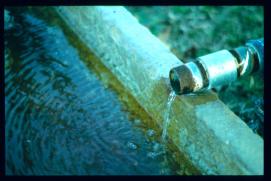 USA Weihnachten 1993/1994/Charleston, SC/plantation park/detail: water outlet USA Weihnachten 1993/1994/Charleston, SC/plantation park/detail: water outlet