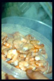 USA Weihnachten 1993/1994/New Year's Eve 1994/more prawns USA Weihnachten 1993/1994/New Year's Eve 1994/more prawns