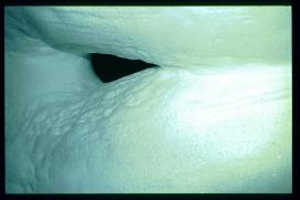 USA Weihnachten 1993/1994/Charleston SC/MUSC oxygen tanks (decompression phenomena) USA Weihnachten 1993/1994/Charleston SC/MUSC oxygen tanks (decompression phenomena)